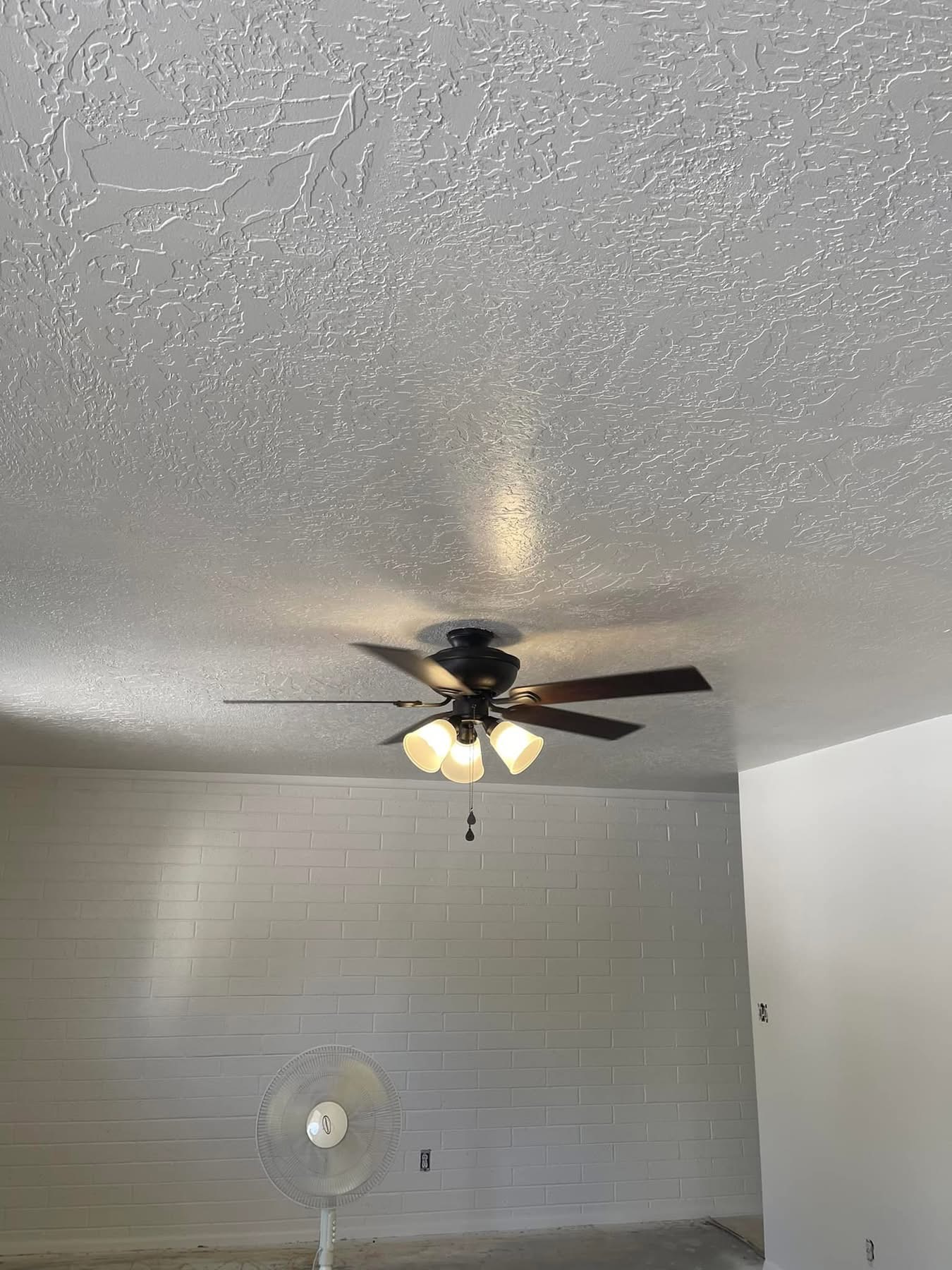 Ceiling fan & lighting installation